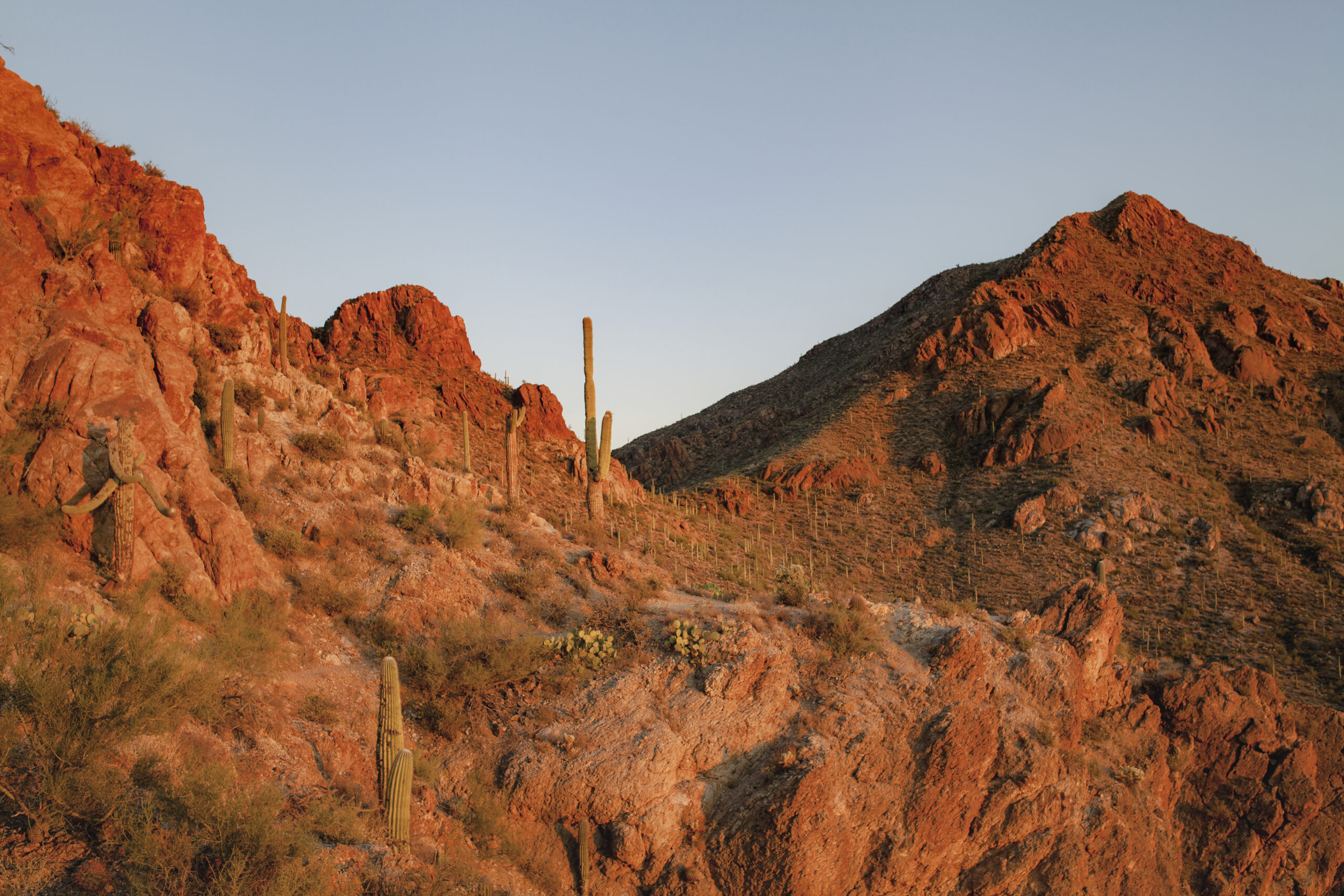 Maroko pustynia Arizona, wyjazd do Maroko