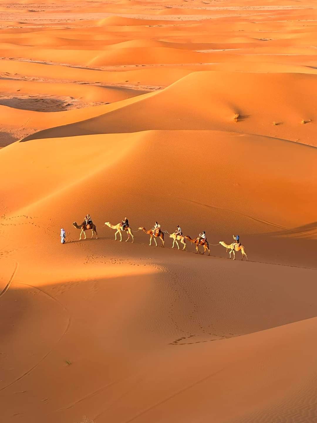 Maroko karawana Sahara