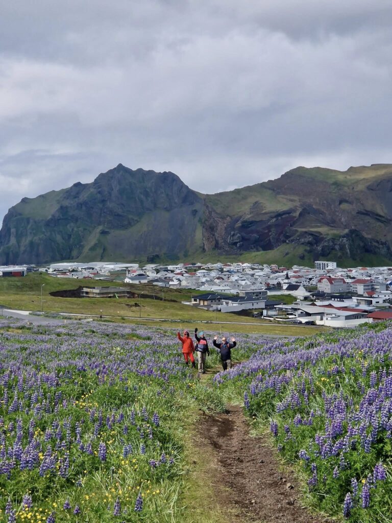 białe noce na Islandii