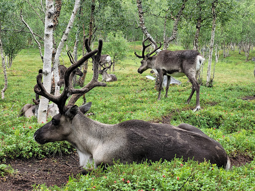 Photo from customer review