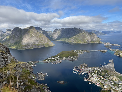 Photo from customer review