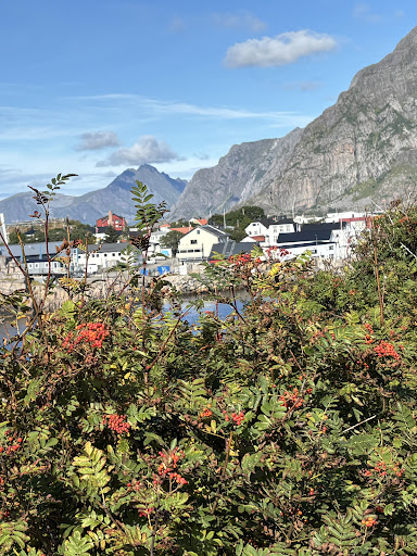 Photo from customer review