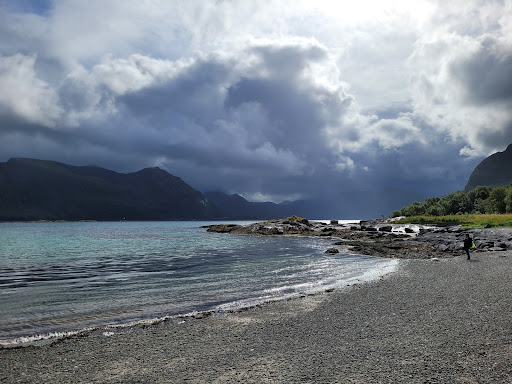 Photo from customer review