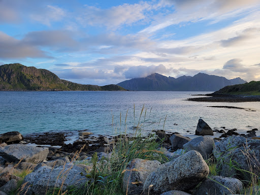 Photo from customer review