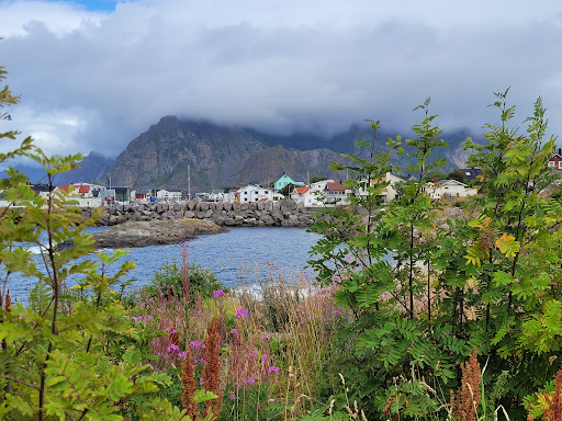 Photo from customer review