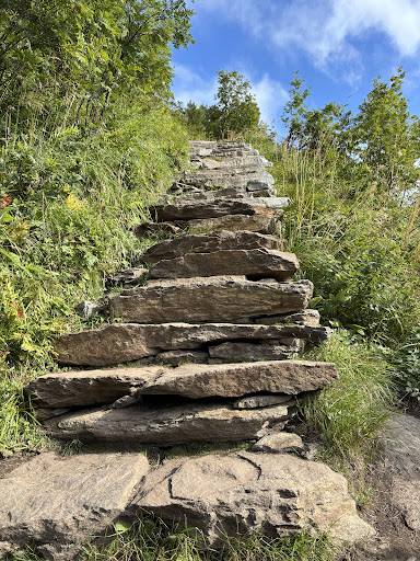 Photo from customer review