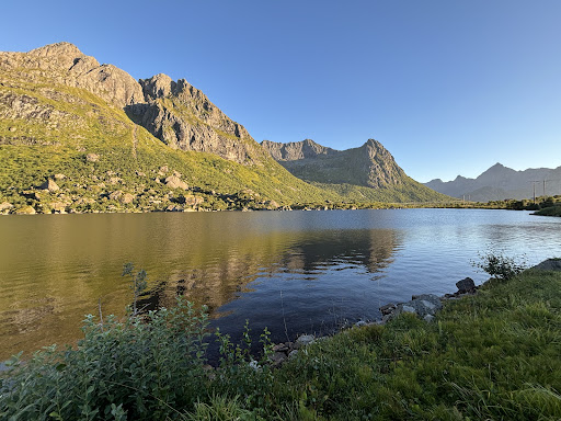 Photo from customer review