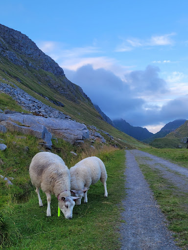 Photo from customer review