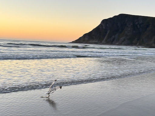 Photo from customer review