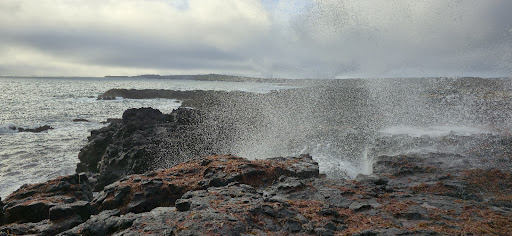 Photo from customer review