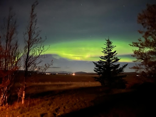 Photo from customer review