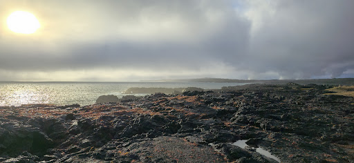 Photo from customer review