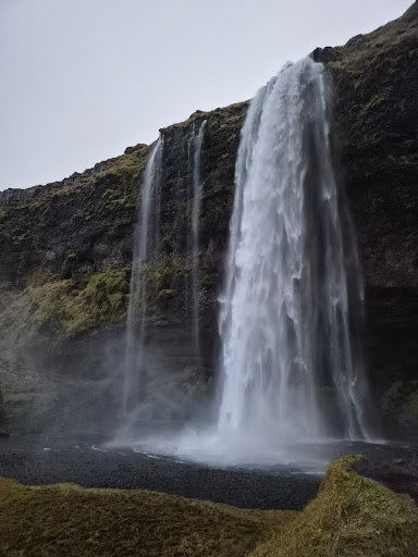 Photo from customer review