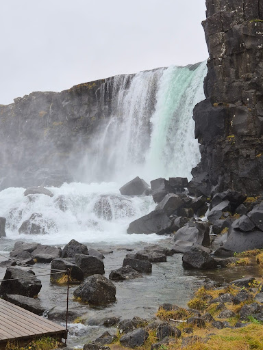 Photo from customer review