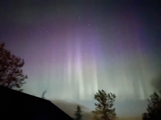 Photo from customer review