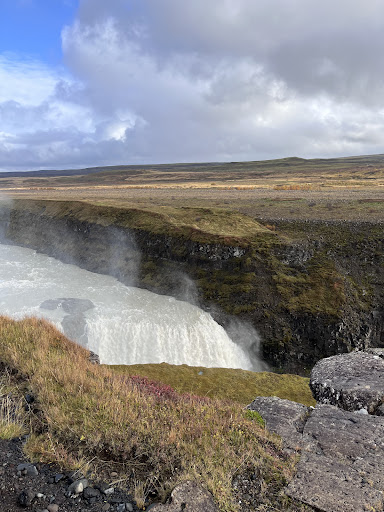 Photo from customer review