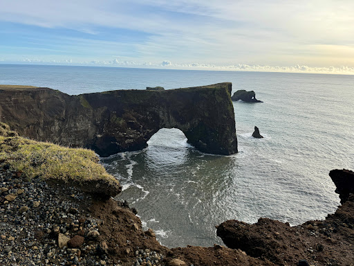 Photo from customer review