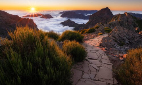 2-pico-de-arieira-madera