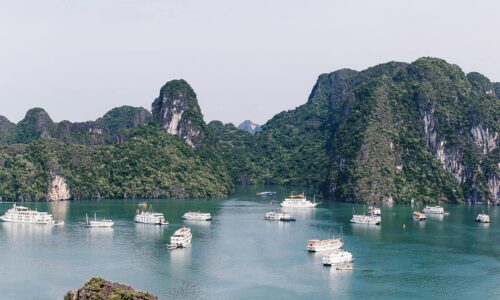 pexels-rachel-claire-7276598